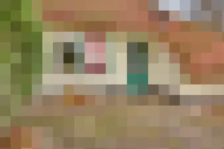Zonnenbergerdijk 2 068 Heeten thumbnail 7