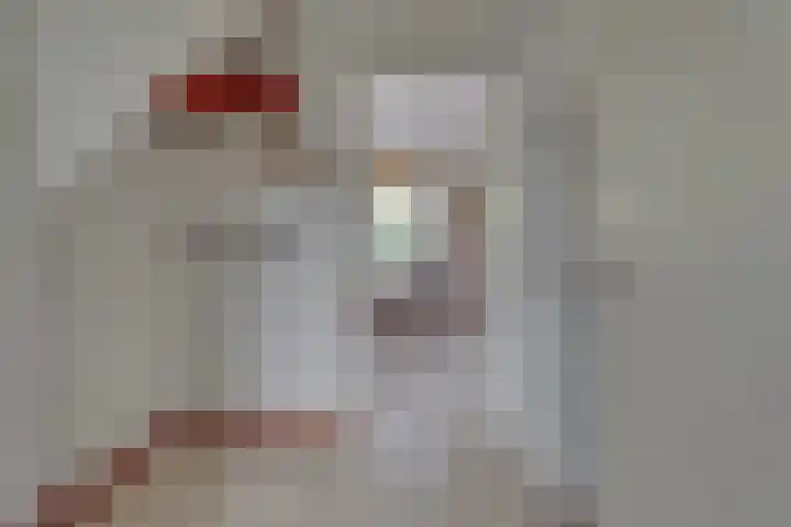 Zonnenbergerdijk 2 068 Heeten thumbnail 9