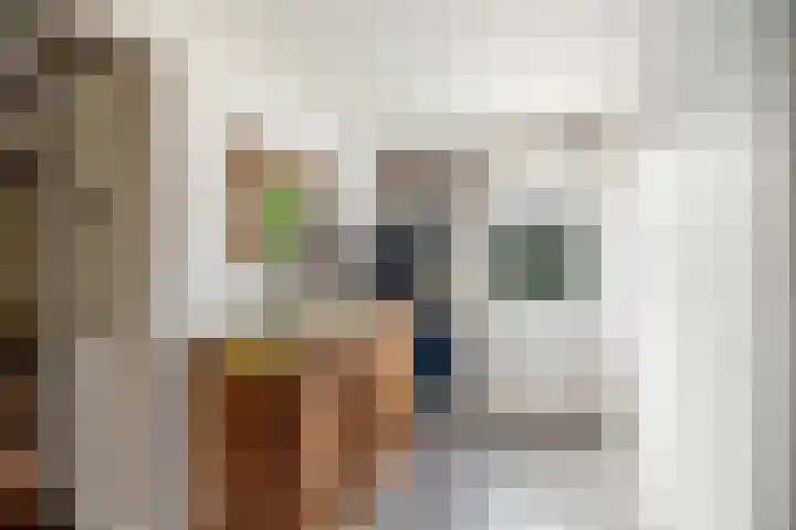 Zonnenbergstraat 25 Wilp thumbnail 11