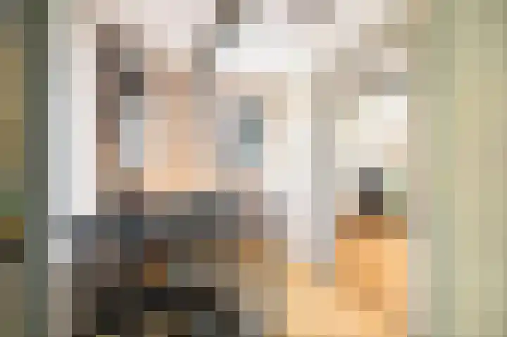 Zonnenbergstraat 25 Wilp thumbnail 14