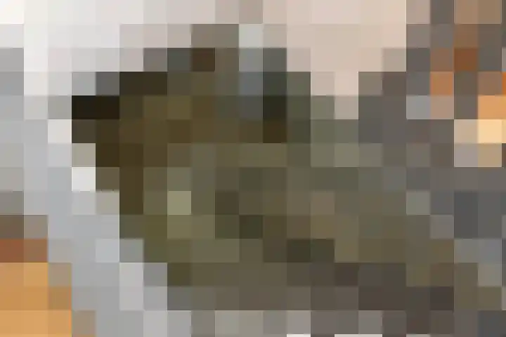 Zonnenbergstraat 25 Wilp thumbnail 16