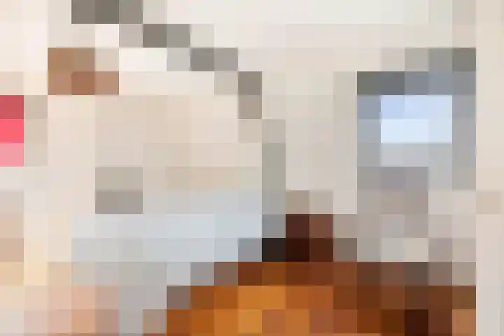 Zonnenbergstraat 25 Wilp thumbnail 17