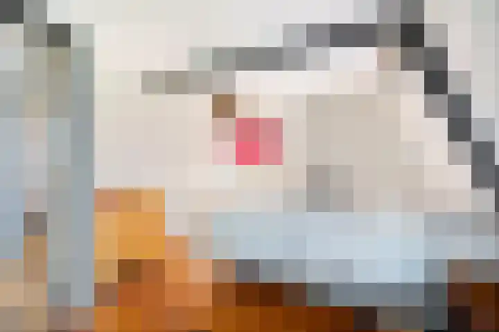 Zonnenbergstraat 25 Wilp thumbnail 18