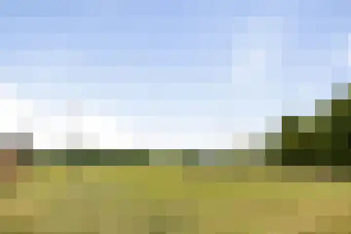 Zonnenbergstraat 25 Wilp thumbnail 25