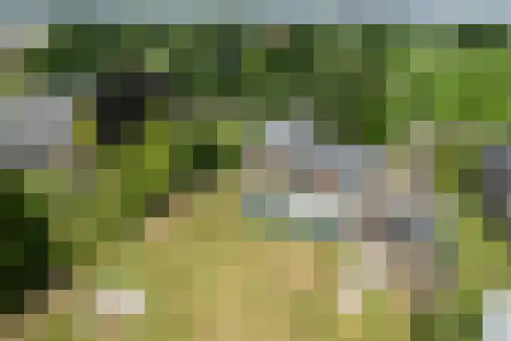 Zonnenbergstraat 25 Wilp thumbnail 26