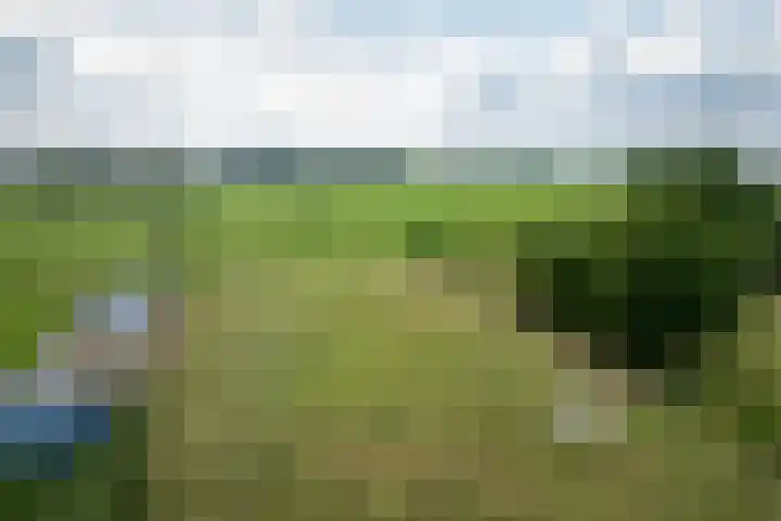 Zonnenbergstraat 25 Wilp thumbnail 27