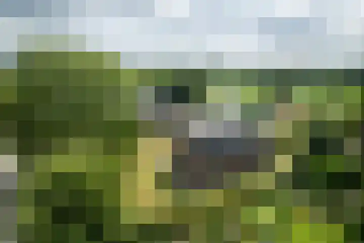 Zonnenbergstraat 25 Wilp thumbnail 28