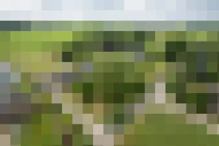 Zonnenbergstraat 25 Wilp thumbnail 29