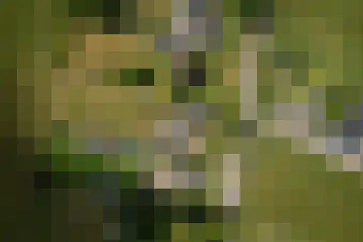 Zonnenbergstraat 25 Wilp thumbnail 30