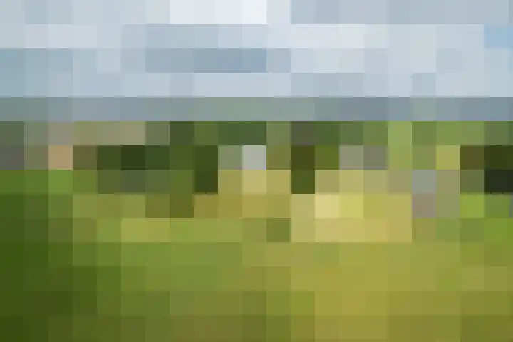 Zonnenbergstraat 25 Wilp thumbnail 31