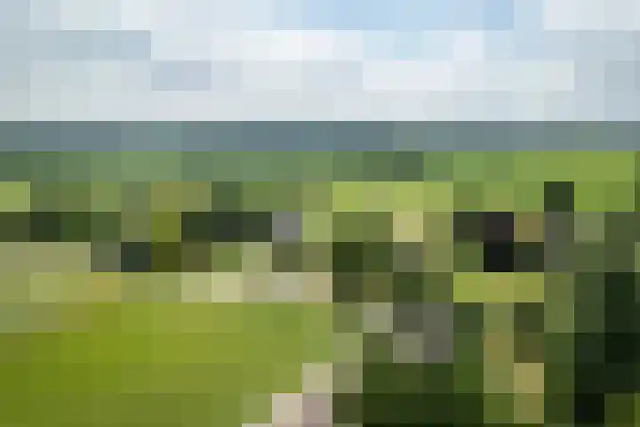 Zonnenbergstraat 25 Wilp thumbnail 32
