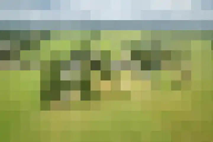Zonnenbergstraat 25 Wilp thumbnail 33