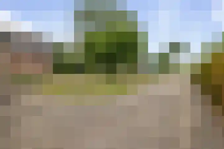 Zonnenbergstraat 25 Wilp thumbnail 34