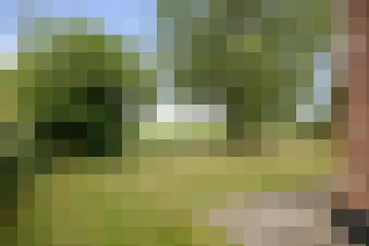 Zonnenbergstraat 25 Wilp thumbnail 35