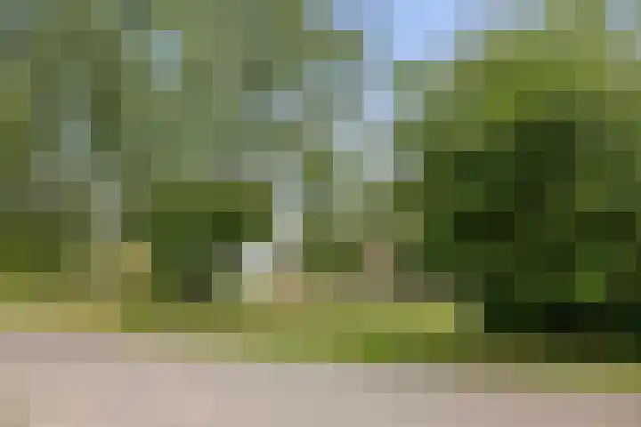 Zonnenbergstraat 25 Wilp thumbnail 37