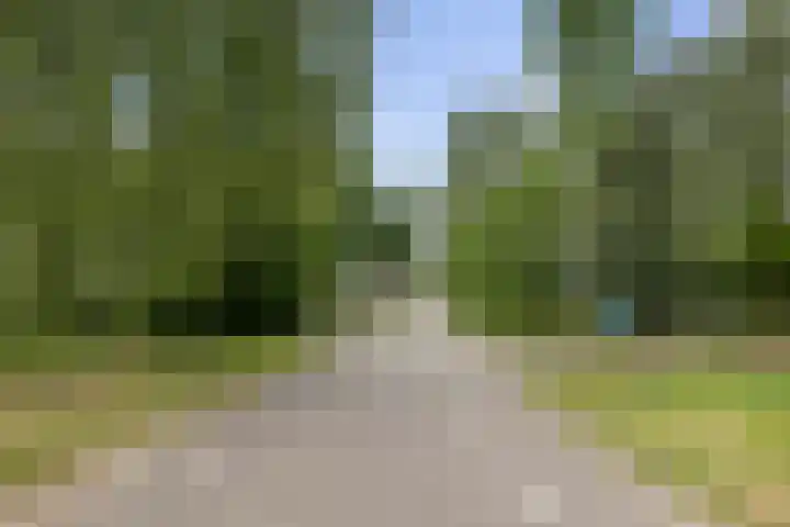 Zonnenbergstraat 25 Wilp thumbnail 38