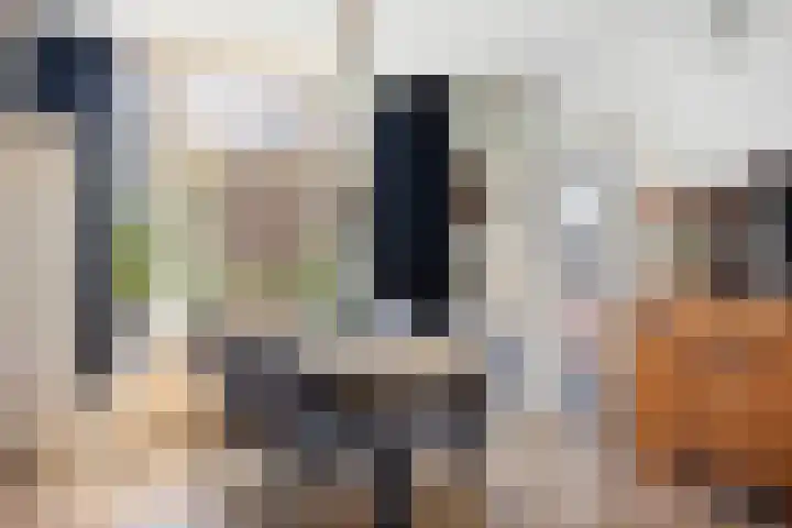 Zonnenbergstraat 25 Wilp thumbnail 8