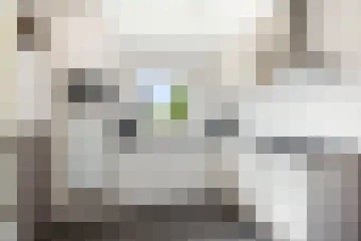 Zonnenbergstraat 25 Wilp thumbnail 9