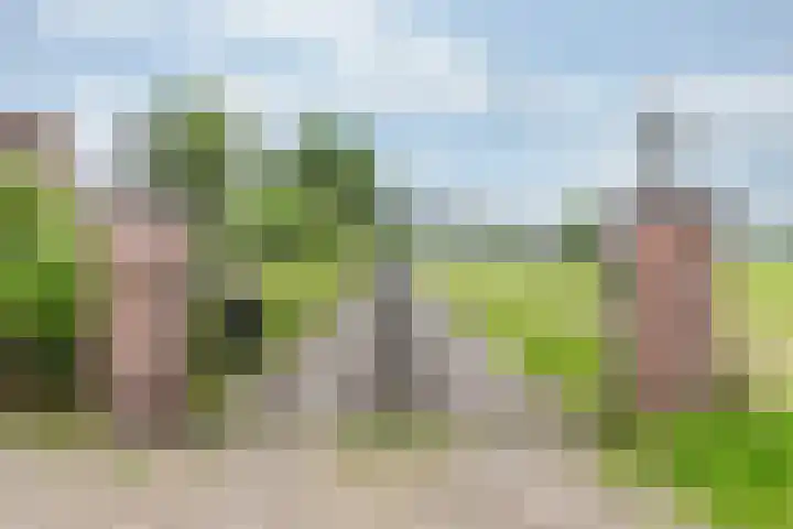 Zonnenbergstraat 31 Wilp thumbnail 10