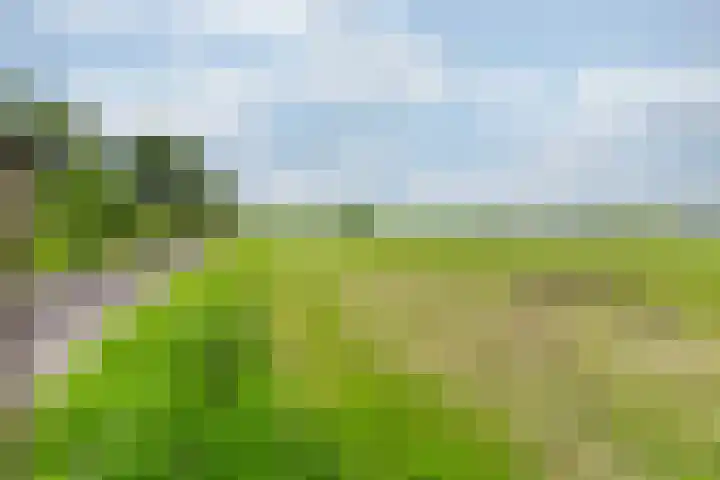 Zonnenbergstraat 31 Wilp thumbnail 11
