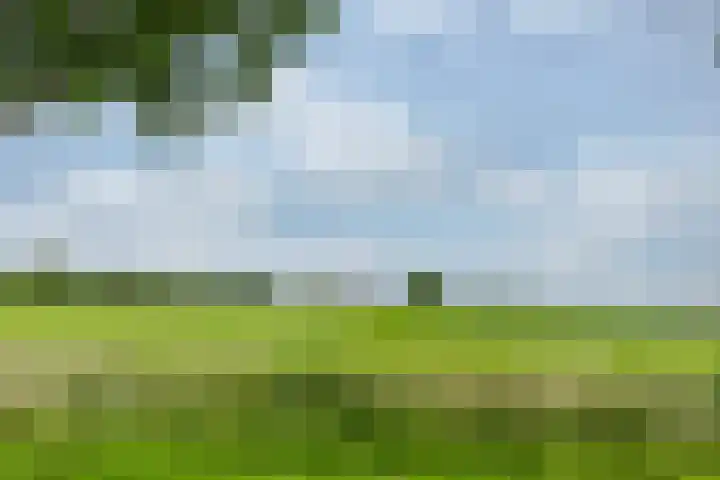Zonnenbergstraat 31 Wilp thumbnail 12