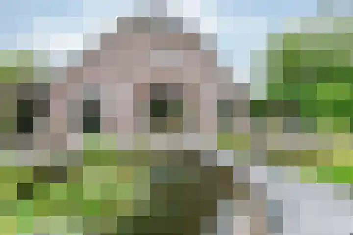 Zonnenbergstraat 31 Wilp thumbnail 15