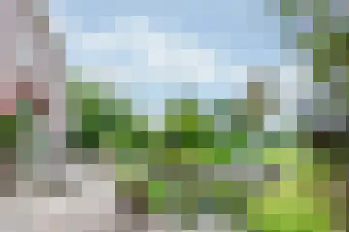 Zonnenbergstraat 31 Wilp thumbnail 16