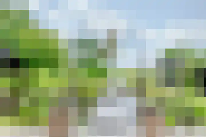 Zonnenbergstraat 31 Wilp thumbnail 18