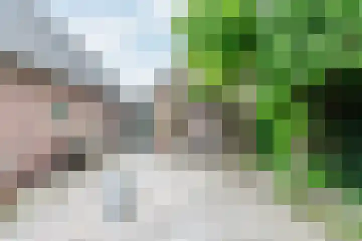 Zonnenbergstraat 31 Wilp thumbnail 19