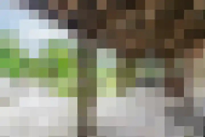 Zonnenbergstraat 31 Wilp thumbnail 20