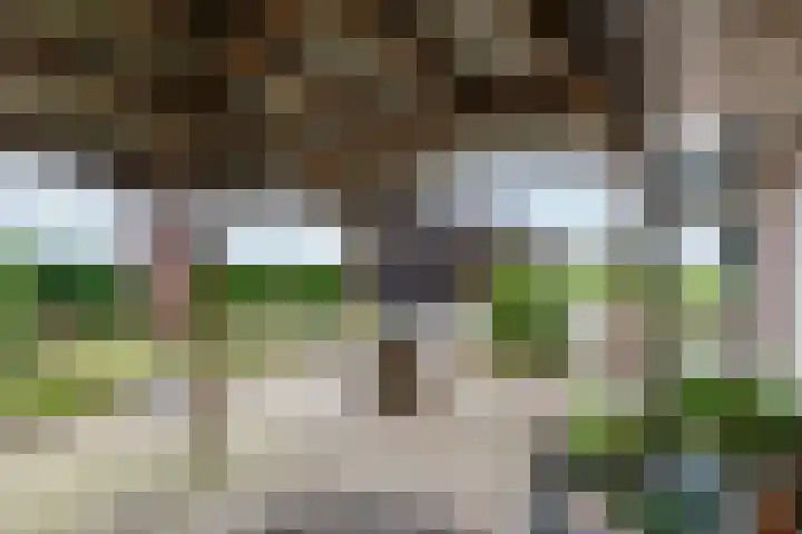 Zonnenbergstraat 31 Wilp thumbnail 21