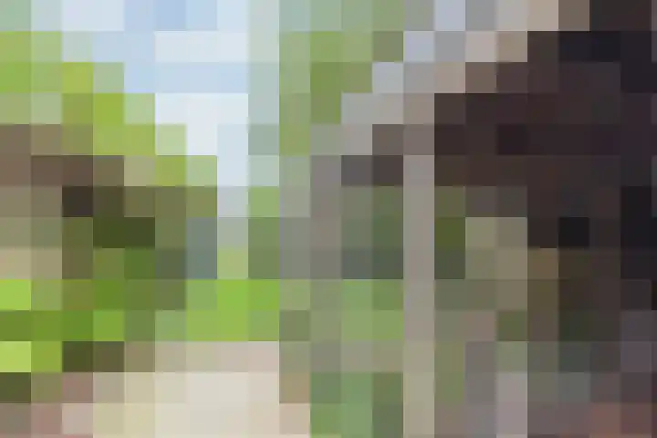 Zonnenbergstraat 31 Wilp thumbnail 23