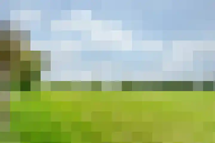 Zonnenbergstraat 31 Wilp thumbnail 26
