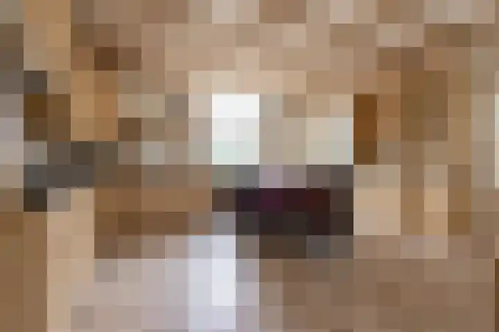 Zonnenbergstraat 31 Wilp thumbnail 31