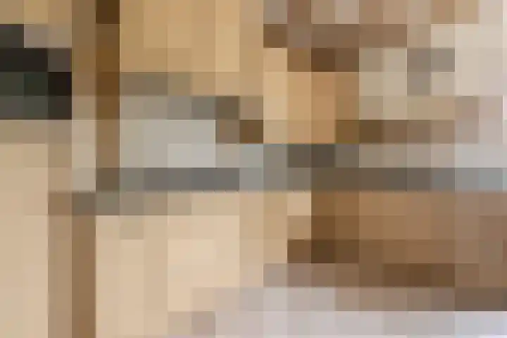 Zonnenbergstraat 31 Wilp thumbnail 32