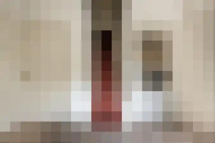 Zonnenbergstraat 31 Wilp thumbnail 38