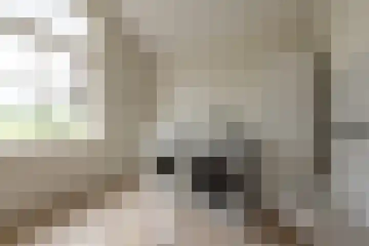 Zonnenbergstraat 31 Wilp thumbnail 39