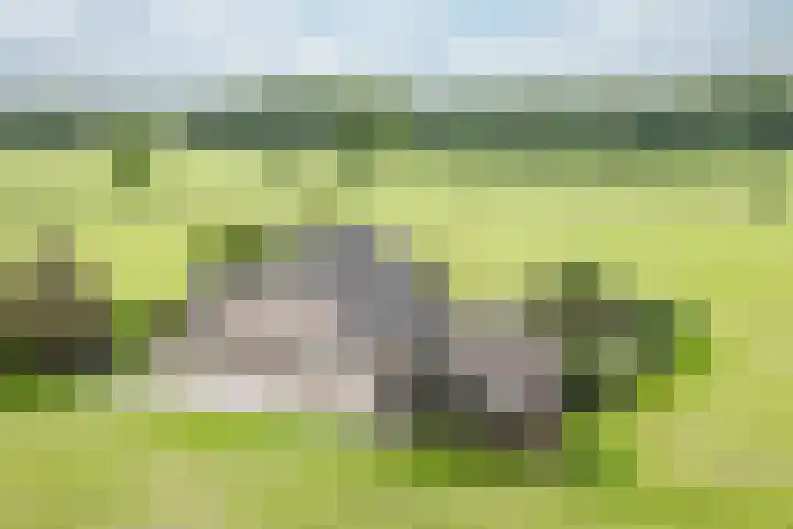 Zonnenbergstraat 31 Wilp thumbnail 4