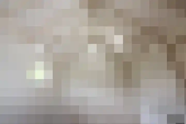 Zonnenbergstraat 31 Wilp thumbnail 44