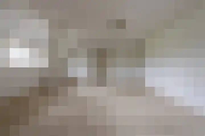 Zonnenbergstraat 31 Wilp thumbnail 47