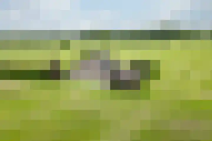 Zonnenbergstraat 31 Wilp thumbnail 7