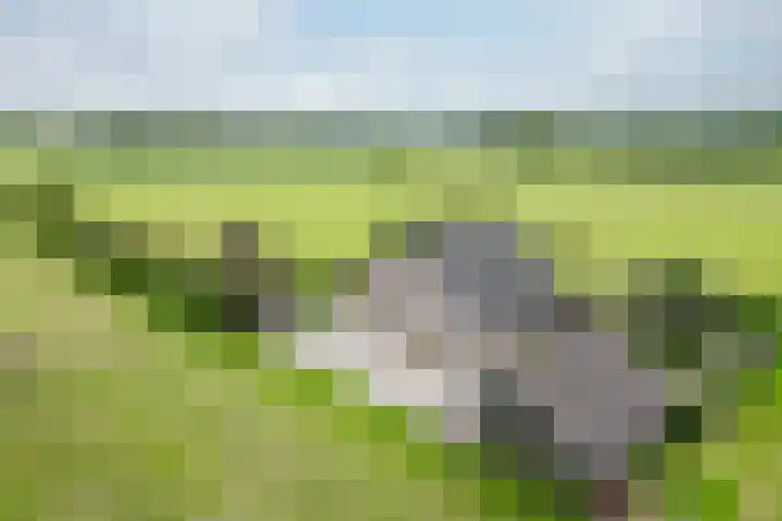 Zonnenbergstraat 31 Wilp thumbnail 8