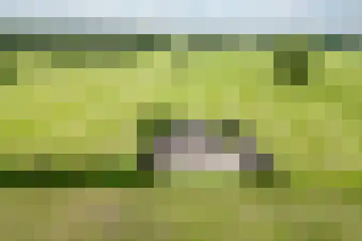 Zonnenbergstraat 31 Wilp thumbnail 9