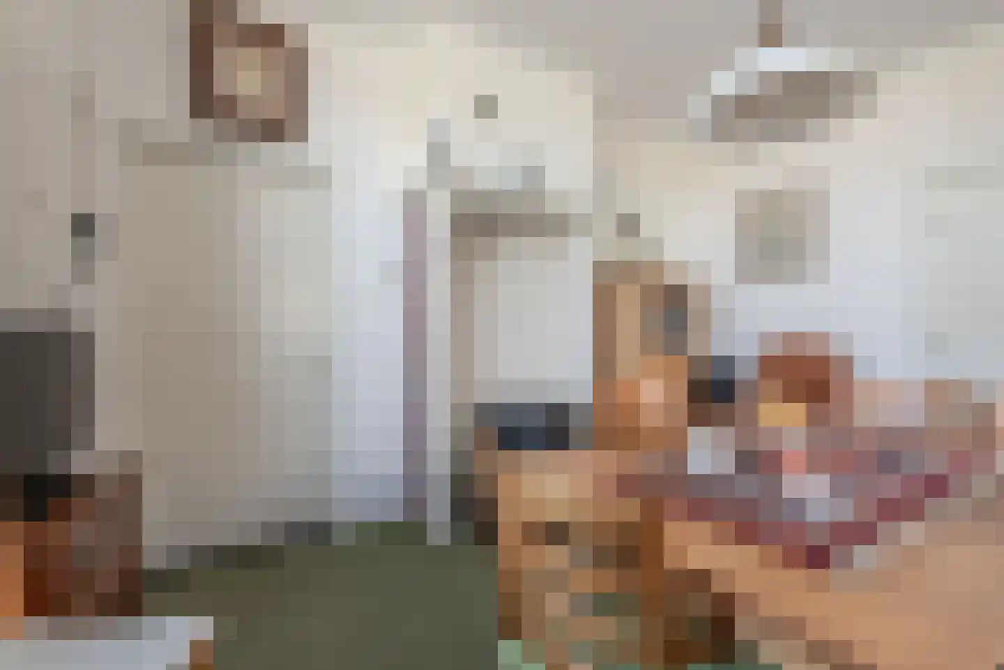 Zonnenbergstraat 57 Wilp thumbnail 17