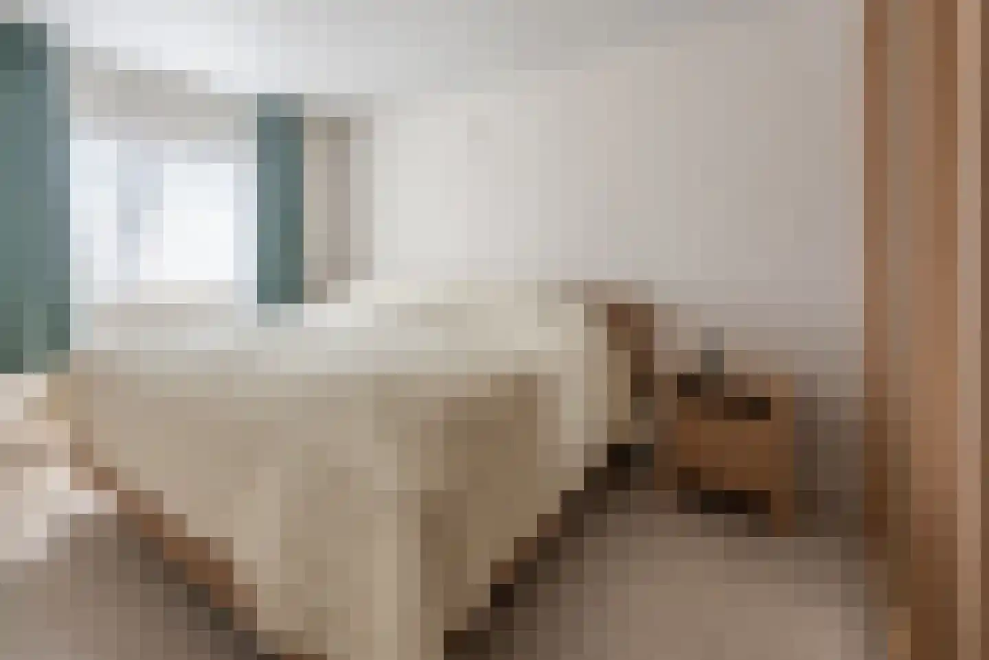 Zonnenbergstraat 57 Wilp thumbnail 24