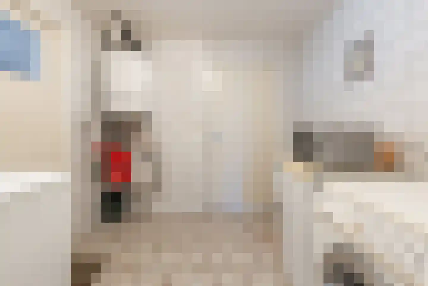 Zonnenbergstraat 57 Wilp thumbnail 26