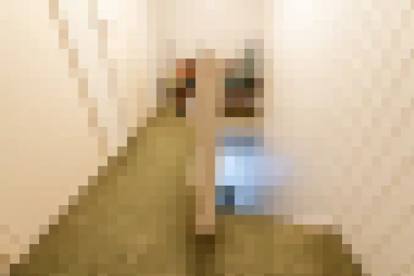 Zonnenbergstraat 57 Wilp thumbnail 36