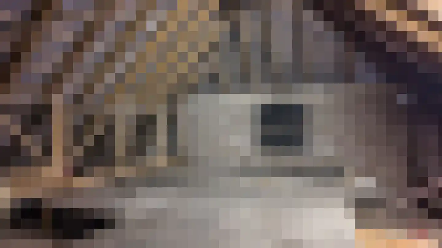 Zonnenbergstraat 57 Wilp thumbnail 41
