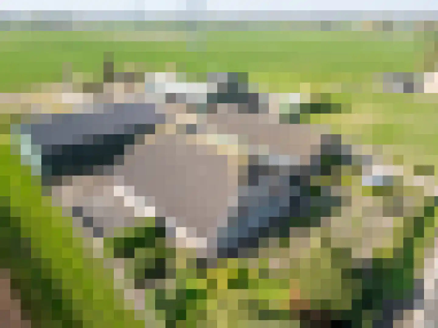 Zonnenbergstraat 57 Wilp thumbnail 5