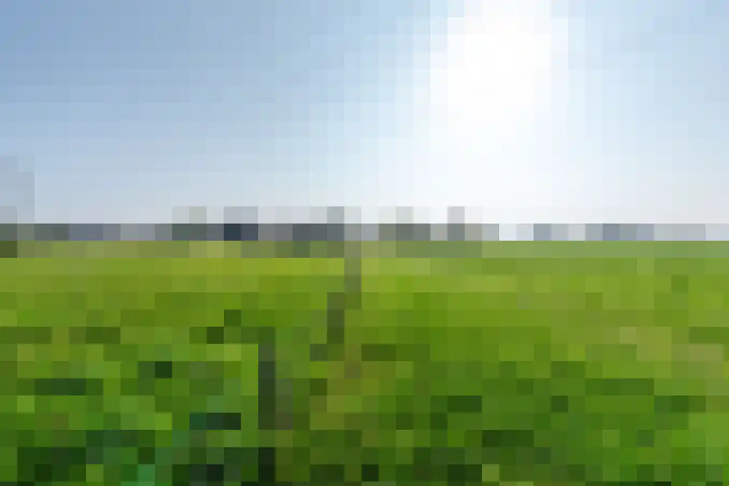 Zonnenbergstraat 57 Wilp thumbnail 63
